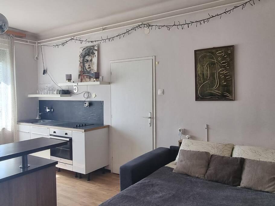 Cosy 2 Room Apartment With Nice Vibe, For Up To 4 Ljubljana Exteriör bild